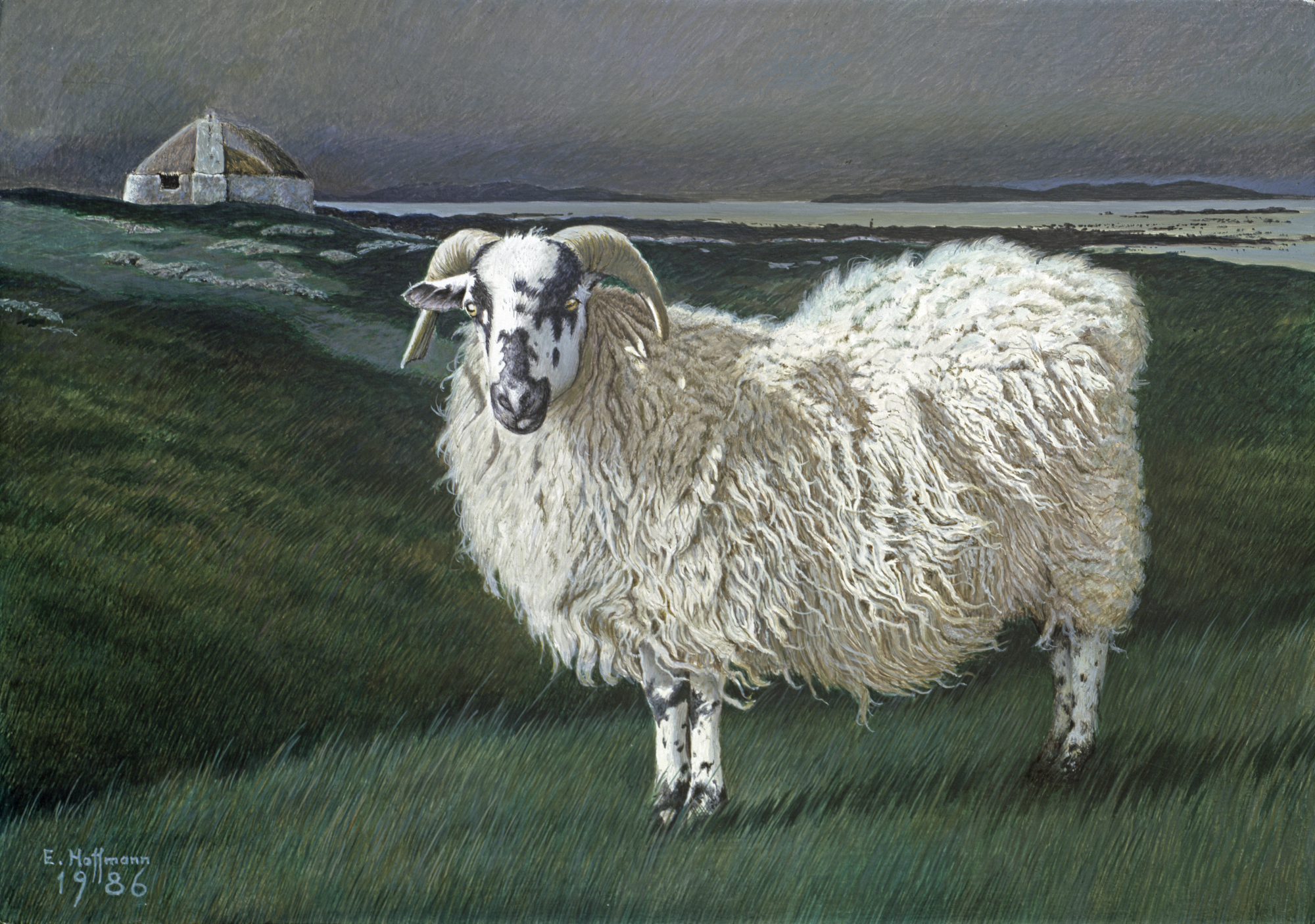 Das verlorene Schaf