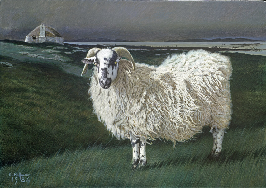 DAS VERLORENE SCHAF