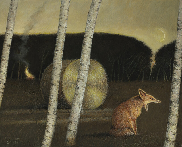 HARVEST MOON
