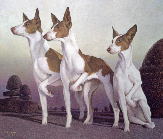 WILTSHIRE WATCHDOGS